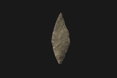#06_04.jpg
