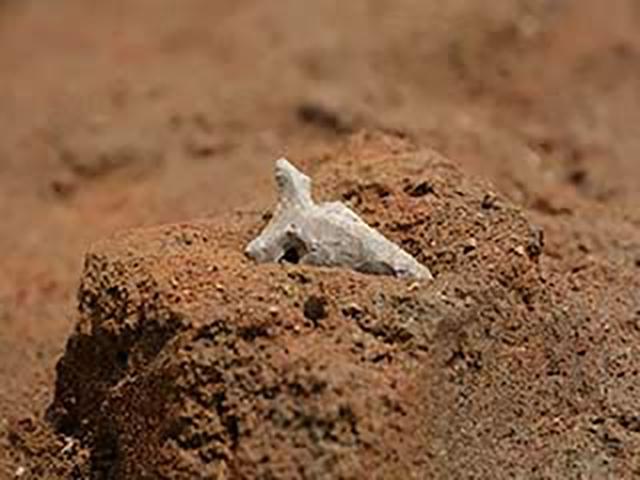 h30_01_012.jpg
