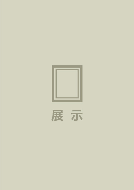 展示