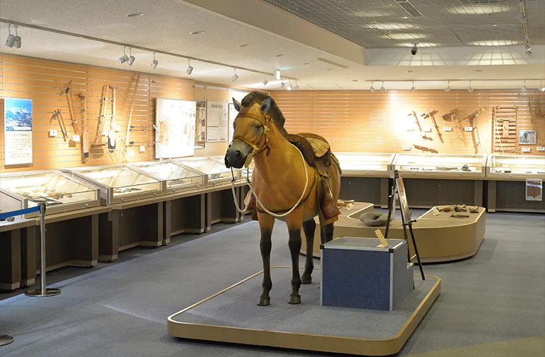 古代の馬の復元